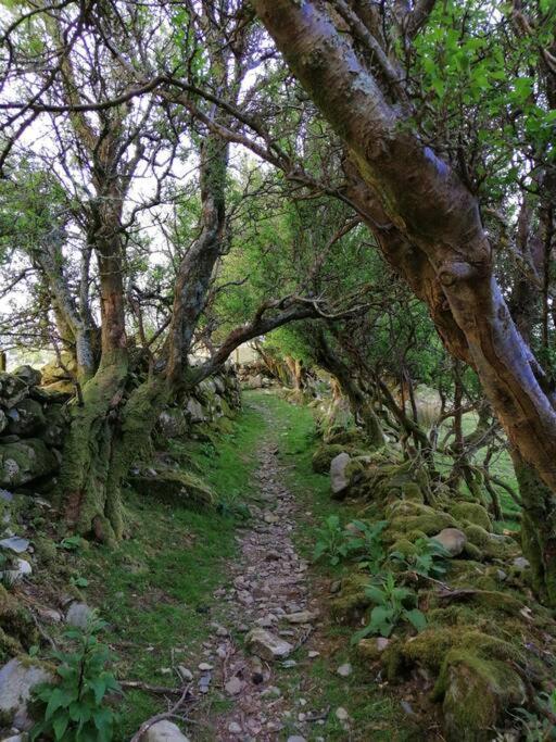 Lovely Stone Village In Snowdonia Holiday home