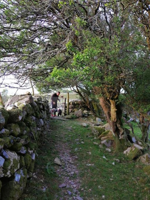 Lovely Stone Village In Snowdonia * Waenfawr